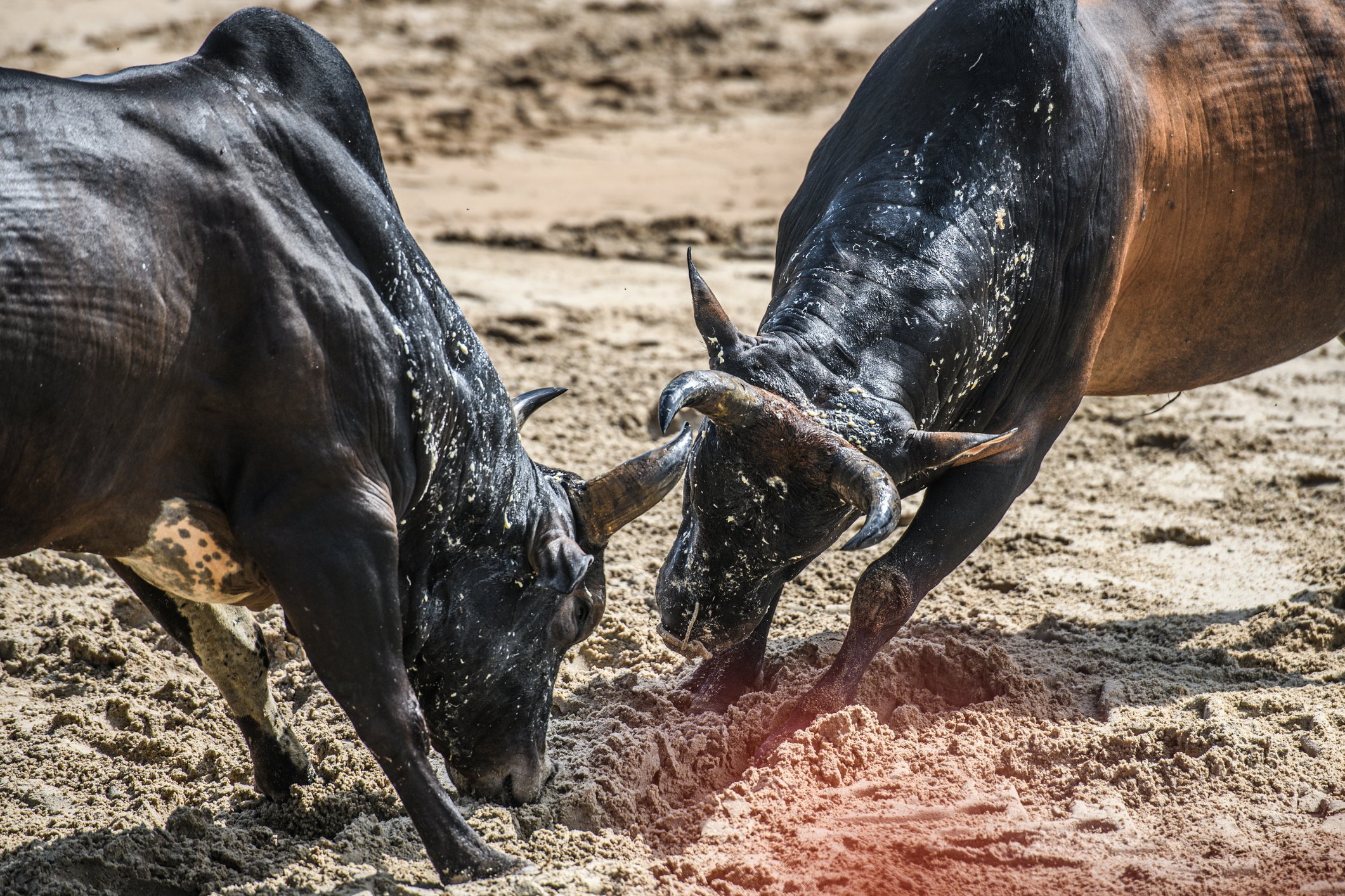 cade-da-10-dias-para-marfrig-(mrfg3)-e-brf-(brfs3)-se-defenderem-de-alegacoes-da-minerva