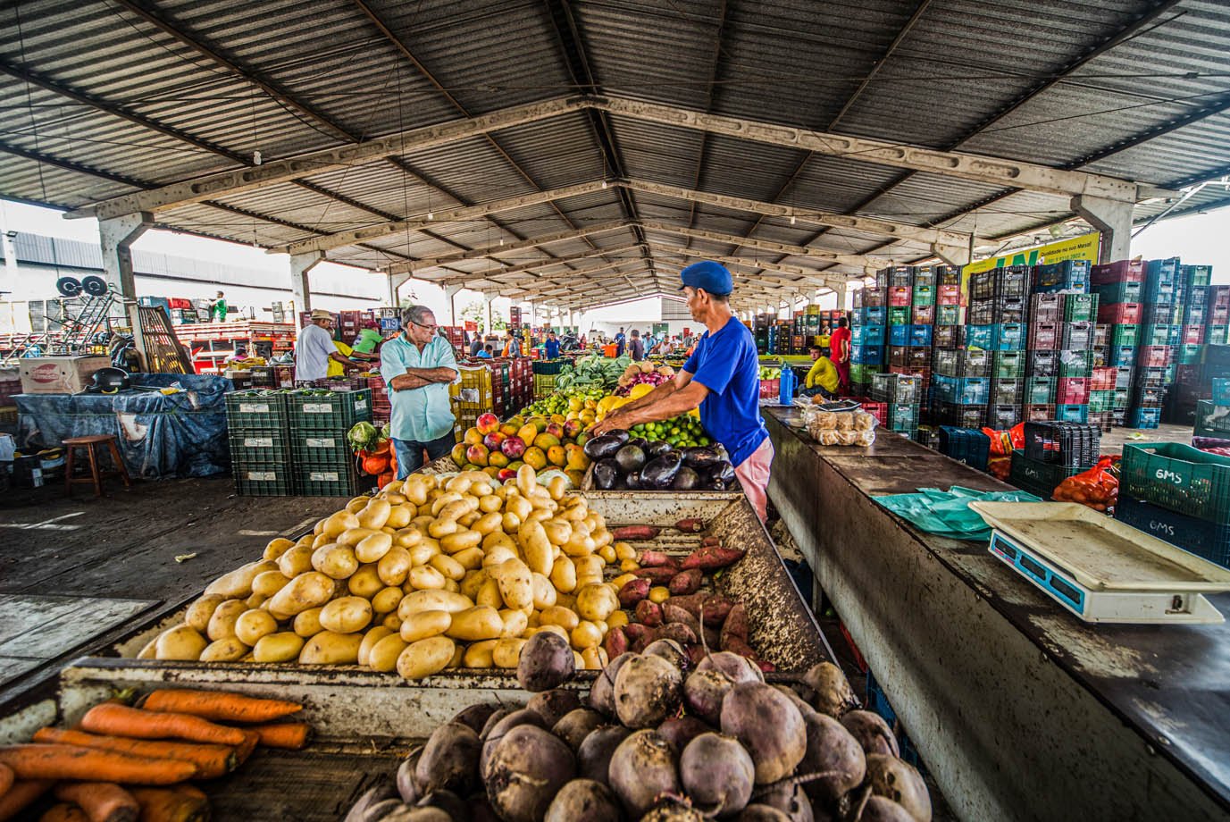 tarifas-de-trump,-ipca,-falas-de-dirigentes-do-fed:-o-que-move-os-mercados