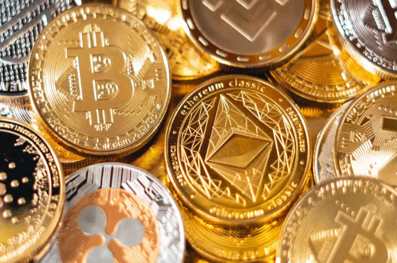 para-este-ceo,-a-unica-forma-de-aprender-sobre-cripto-e-colocando-seu-dinheiro-em-jogo