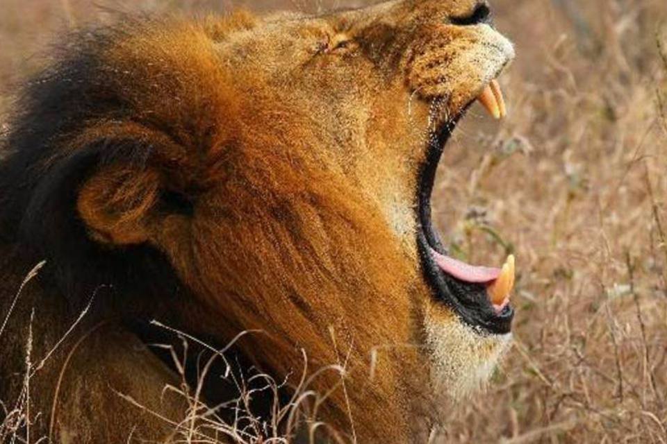 tenho-imposto-a-pagar:-melhor-deixar-a-declaracao-do-ir-para-a-ultima-hora?