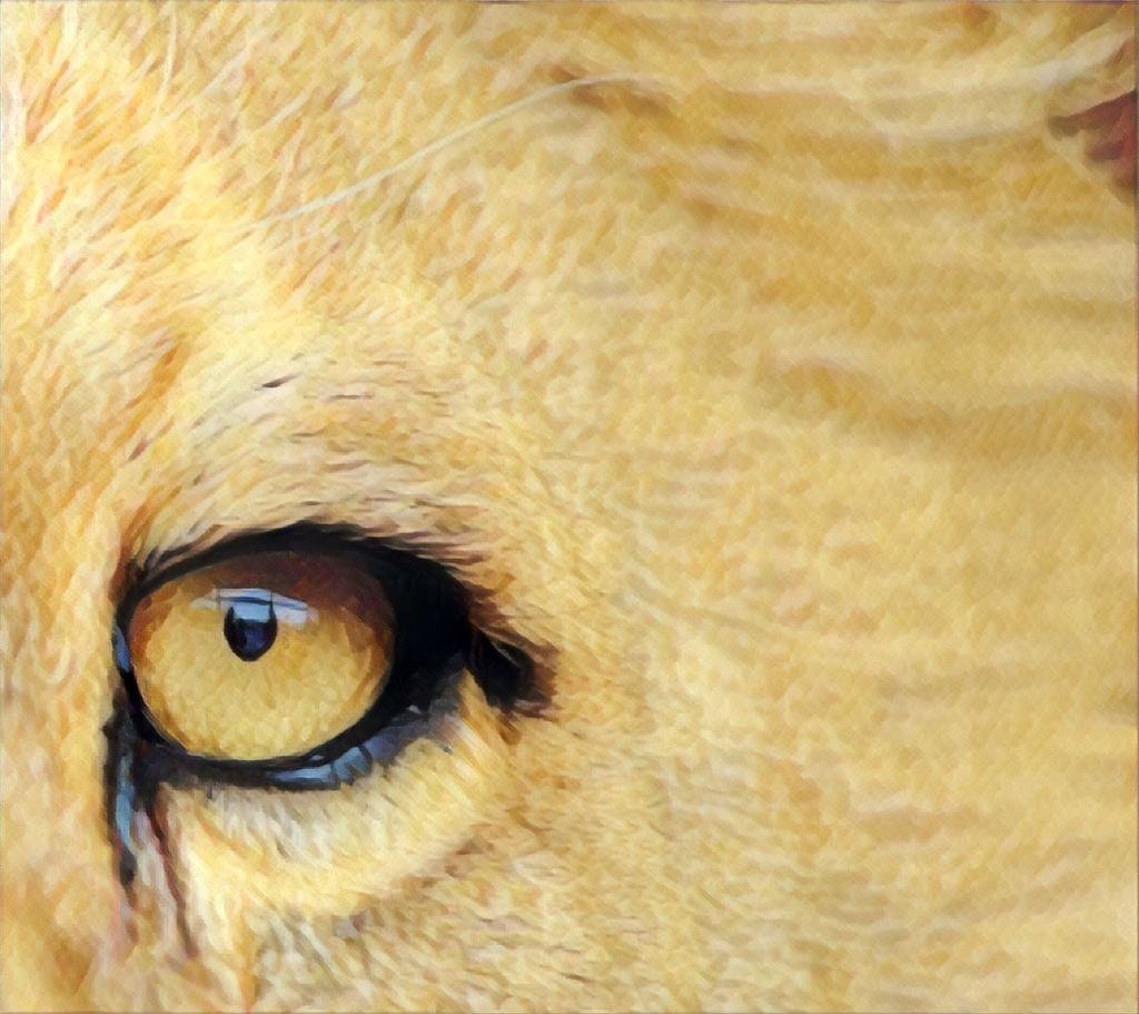 ir-2026:-vale-declarar-de-ultima-hora-para-deixar-a-restituicao-rendendo?