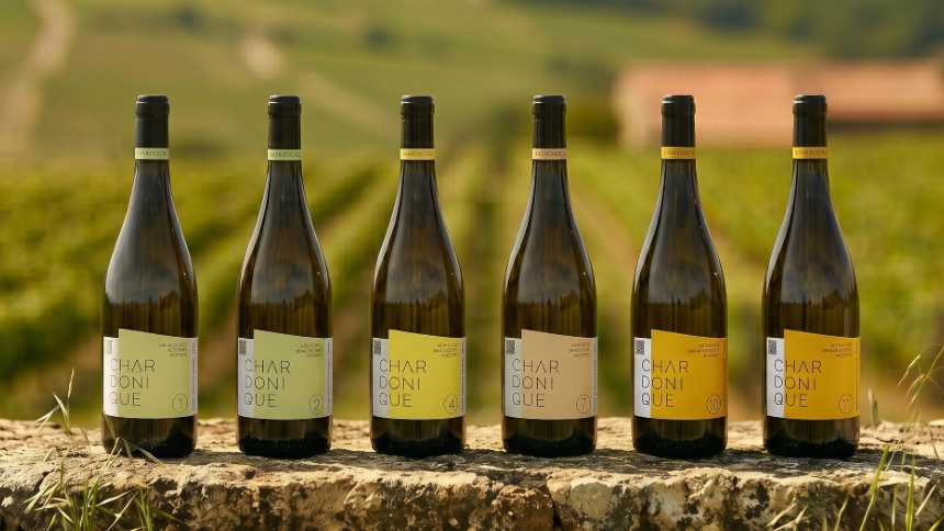 a-startup-que-construiu-uma-empresa-inteira-em-torno-da-uva-chardonnay